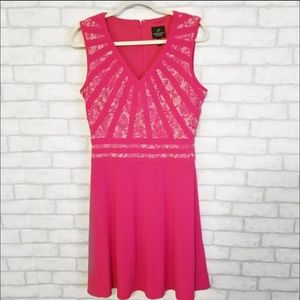 Adrianna Papell Pink Lace Mini Dress